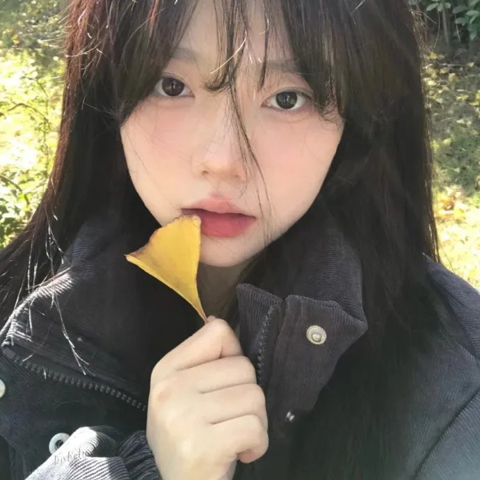 花儿与少年·好友记